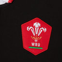 Wales Alternate Classic Shirt 2020 2021