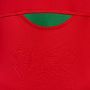 Wales Classic Long Sleeve Home Shirt 2020 2021 Junior