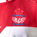 Llanelli RFC Adults Home Shirt