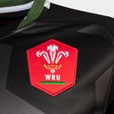 Wales Alternate Shirt 2021 2022
