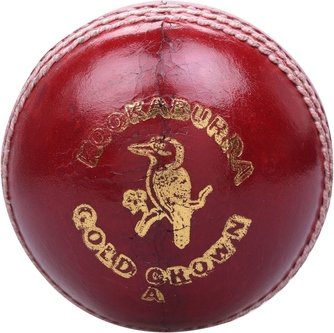 Gold Cricket Ball Juniors